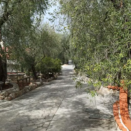 Zagare Rodi Garganico